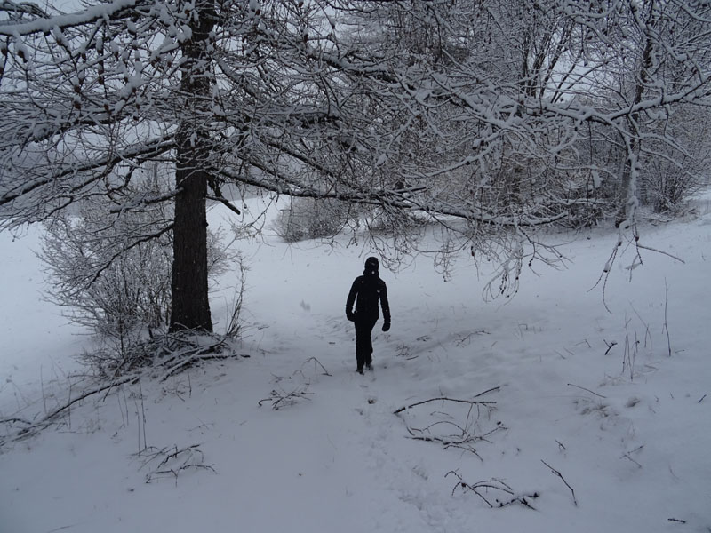 breve passeggiata tra la neve fresca di oggi.....